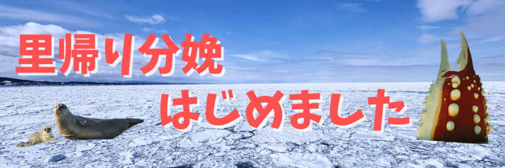 里帰り出産バナー