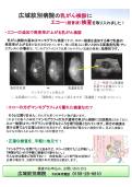 新規検診案内